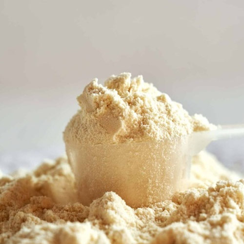 whey-powder-dm40_whey-products_icon